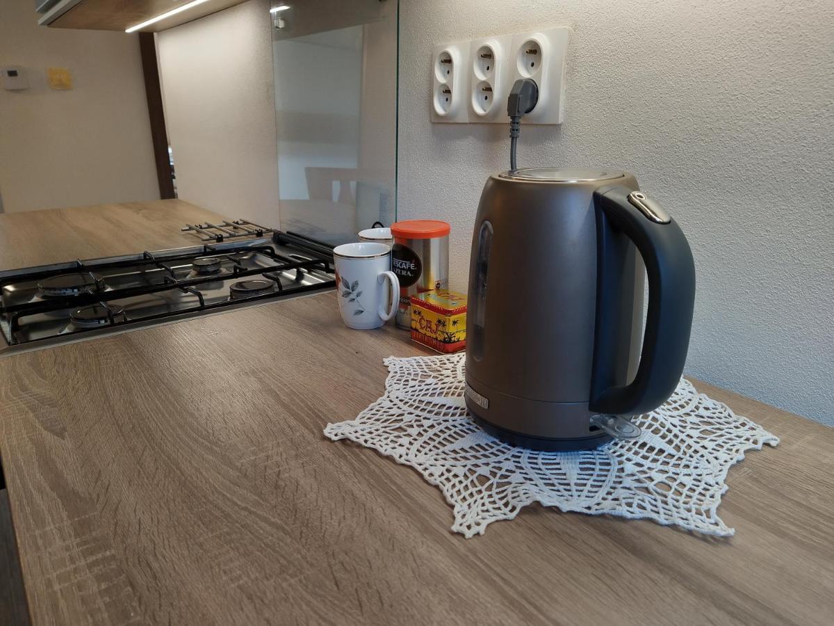 Apartman Banska Bystrica Fortnicka Buitenkant foto